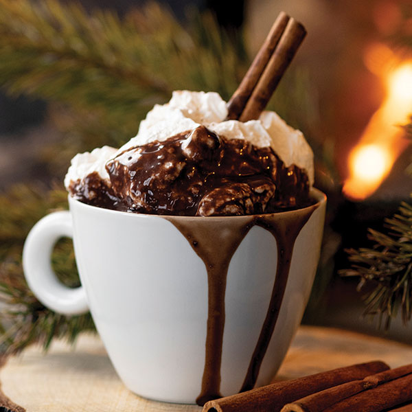 a delicious decadent decorated mug of hot cocoa