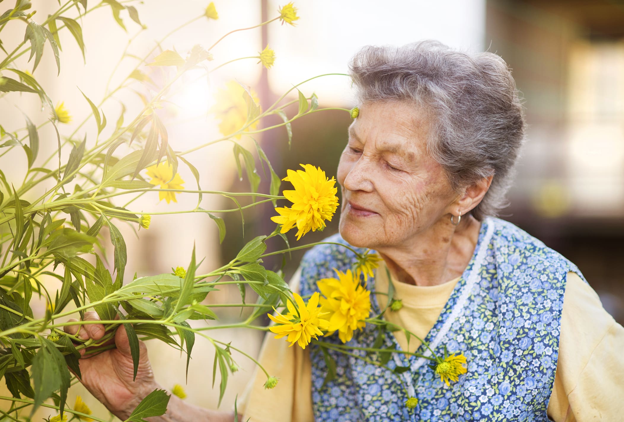 senior smelling flower in garden